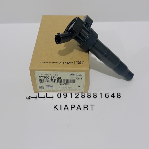 273003F100 کویل